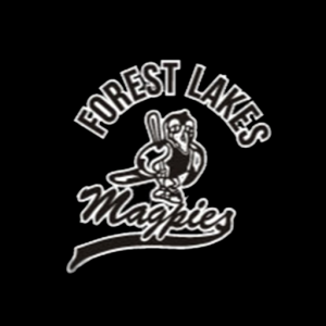 Forest Lakes Magpies
