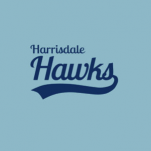 Harrisdale Hawks
